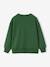 Sweat couleur motif poitrine Basics garçon grenadine+pistache+vert - vertbaudet enfant 