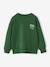 Sweatshirt with Chest Motif for Boys green+pistachio+pomegranate - vertbaudet enfant 