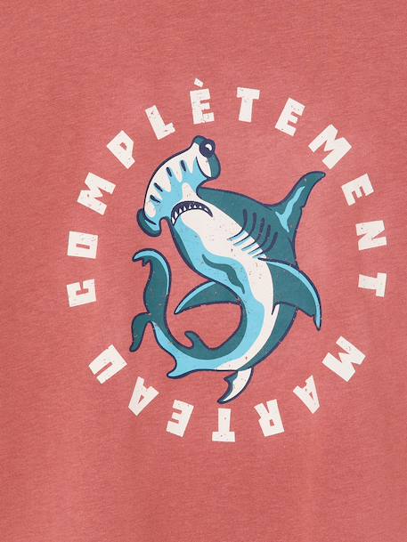T-Shirt With Fun Motif for Boys aqua green+dusky pink+ocean blue - vertbaudet enfant 