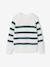 Pull garçon rayé bleu moyen+caramel+écru+encre+vert sauge - vertbaudet enfant 