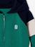 Zipped hooded sweatshirt for boys with colour block design green+medium blue+ochre - vertbaudet enfant 