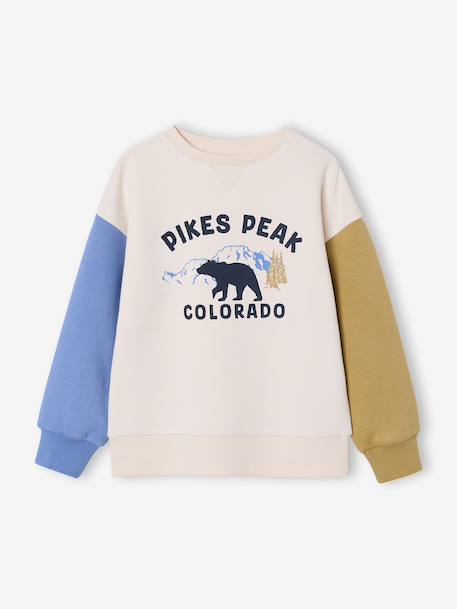 Round-neck sweatshirt with long sleeves for boys multicoloured - vertbaudet enfant 