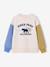 Round-neck sweatshirt with long sleeves for boys multicoloured - vertbaudet enfant 