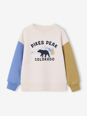 Sweat garçon col rond manches lo - vertbaudet enfant Garçon-Sweat garçon col rond manches lo