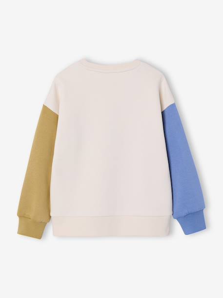 Round-neck sweatshirt with long sleeves for boys multicoloured - vertbaudet enfant 
