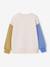Round-neck sweatshirt with long sleeves for boys multicoloured - vertbaudet enfant 