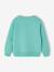 Fancy Sweatshirt for Boys green+marl white+ochre+pale blue - vertbaudet enfant 