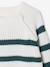 Pull garçon rayé bleu moyen+caramel+écru+encre+vert sauge - vertbaudet enfant 