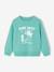 Fancy Sweatshirt for Boys green+marl white+ochre+pale blue - vertbaudet enfant 