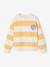 Striped boy's sweatshirt with placed motif pistachio+striped yellow - vertbaudet enfant 