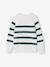 Pull garçon rayé bleu moyen+caramel+écru+encre+vert sauge - vertbaudet enfant 