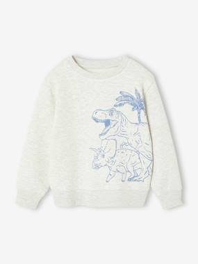 Garçon-Pull, gilet, sweat-Sweat-Sweat garçon fantaisie