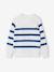 Pull garçon rayé bleu moyen+caramel+écru+encre+vert sauge - vertbaudet enfant 