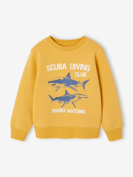 Fancy Sweatshirt for Boys green+marl white+ochre+pale blue - vertbaudet enfant 