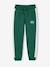 Boys' joggers with side stripe green+red - vertbaudet enfant 