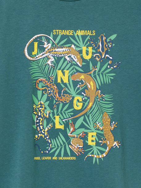 T-Shirt With Fun Motif for Boys aqua green+dusky pink+ocean blue - vertbaudet enfant 
