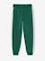 Boys' joggers with side stripe green+red - vertbaudet enfant 