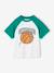 Raglan sleeve t-shirt for boys green - vertbaudet enfant 