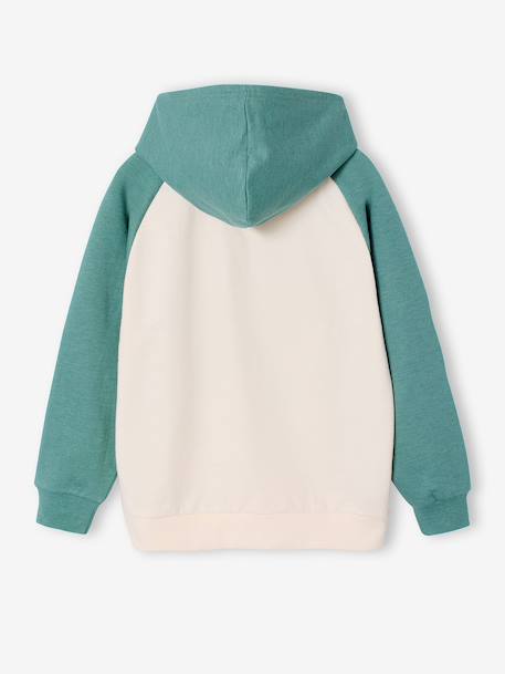 Hooded sweatshirt for boys PAT PATROUILLE sage green - vertbaudet enfant 