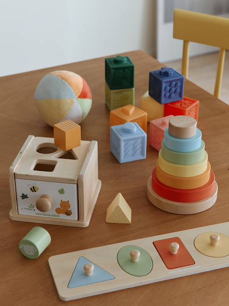 Discovery set: FINE MOTOR SKILLS AND EYE-HAND COORDINATION in FSC® wood multicoloured - vertbaudet enfant 