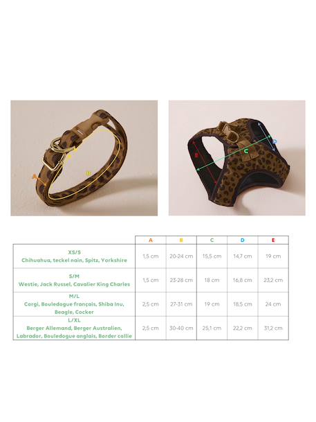 Dog Walking Set: Harness + Lead + Collar coffee - vertbaudet enfant 