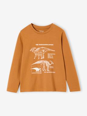 Lot de 3 t-shirts garçon - vertbaudet enfant Garçon-Lot de 3 t-shirts garçon
