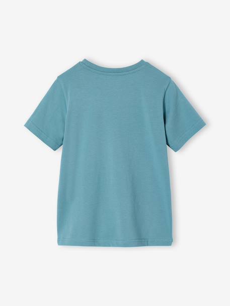 Printed boy's t-shirt aqua green+marl white+medium blue+mint green+ochre+olive+terracotta - vertbaudet enfant 