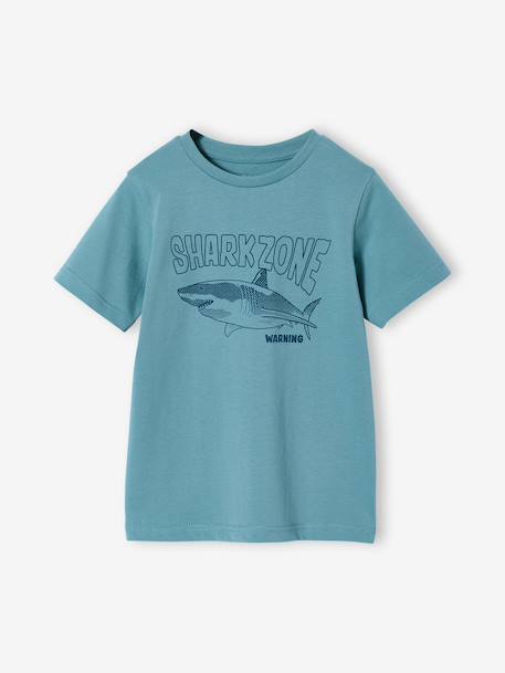 Printed boy's t-shirt aqua green+marl white+medium blue+mint green+ochre+olive+terracotta - vertbaudet enfant 