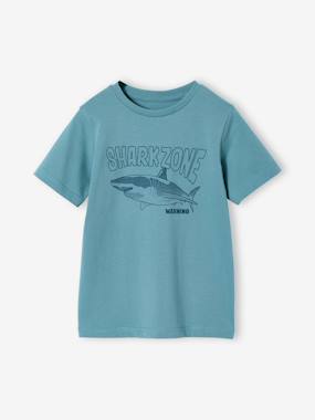 T-shirt garçon imprimé - vertbaudet enfant Garçon-T-shirt, polo, sous-pull-T-shirt-T-shirt garçon imprimé