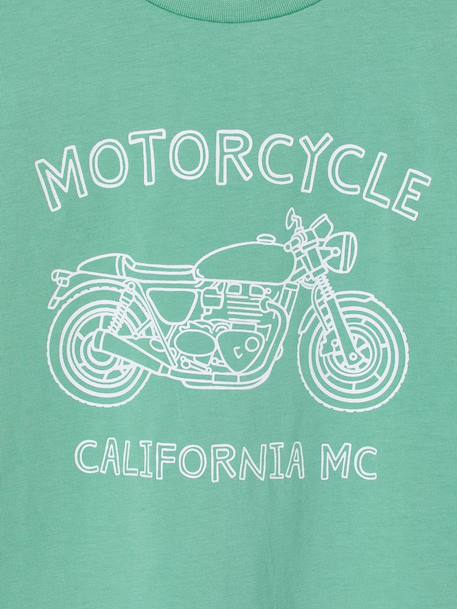 Printed boy's t-shirt aqua green+marl white+medium blue+mint green+ochre+olive+terracotta - vertbaudet enfant 