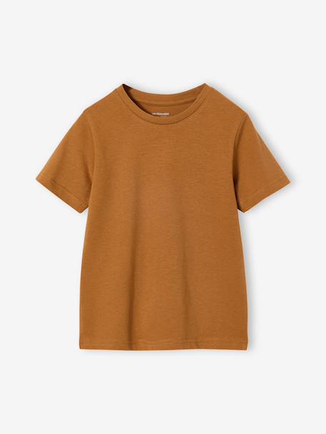 Pack of 3 short-sleeved t-shirts almond green+caramel+navy blue+petrol blue - vertbaudet enfant 