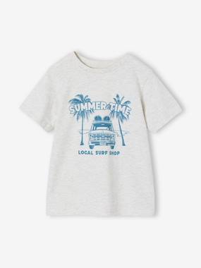 T-shirt garçon imprimé - vertbaudet enfant Garçon-T-shirt, polo, sous-pull-T-shirt-T-shirt garçon imprimé