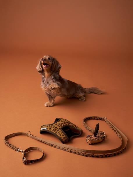 Dog Walking Set: Harness + Lead + Collar coffee - vertbaudet enfant 