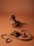 Dog Walking Set: Harness + Lead + Collar coffee - vertbaudet enfant 