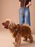 Dog Walking Set: Harness + Lead + Collar coffee - vertbaudet enfant 