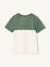 Colourblock T-Shirt for Boys BLUE MEDIUM SOLID WITH DESIGN+English green+mint green+ORANGE MEDIUM SOLID WITH DESIG - vertbaudet enfant 