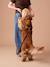 Dog Walking Set: Harness + Lead + Collar coffee - vertbaudet enfant 