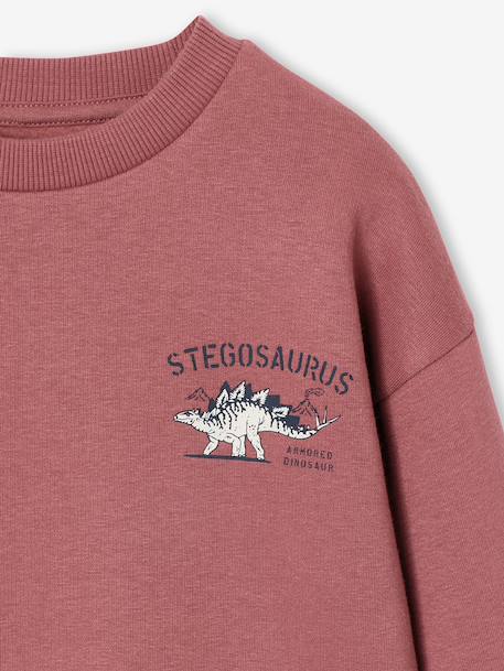Pack of 2 'Cool and Fun' sweatshirts terracotta+tomato red - vertbaudet enfant 