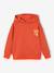 Hoodie with Motif on Chest for Boys, Basics orange+petrol blue - vertbaudet enfant 