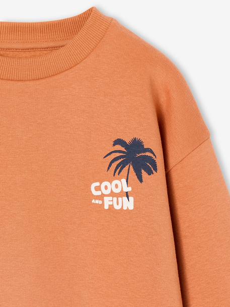Pack of 2 'Cool and Fun' sweatshirts terracotta+tomato red - vertbaudet enfant 