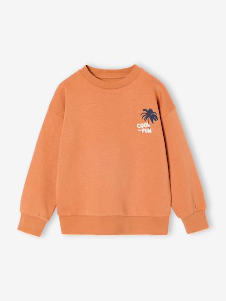 Pack of 2 'Cool and Fun' sweatshirts terracotta+tomato red - vertbaudet enfant 