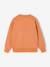 Pack of 2 'Cool and Fun' sweatshirts terracotta+tomato red - vertbaudet enfant 