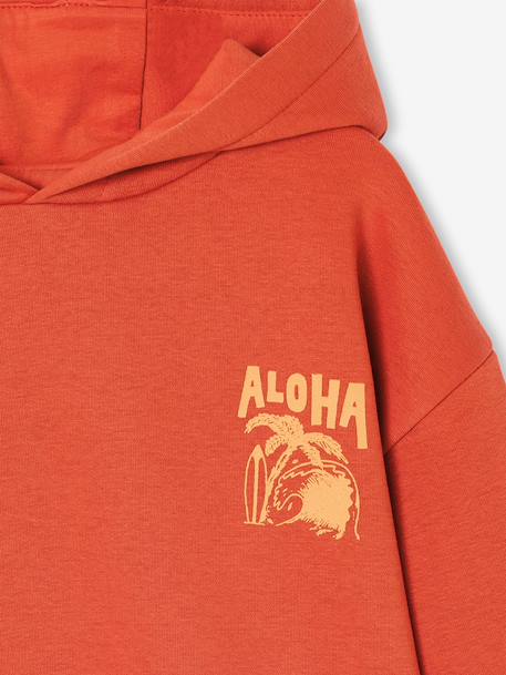 Hoodie with Motif on Chest for Boys, Basics orange+petrol blue - vertbaudet enfant 