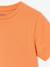 Pack of 3 short-sleeved t-shirts almond green+caramel+navy blue+petrol blue - vertbaudet enfant 