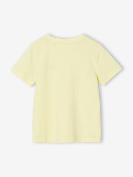 Short Sleeve T-Shirt, for Boys aubergine+Blue+Green+mango+pale yellow+white - vertbaudet enfant 