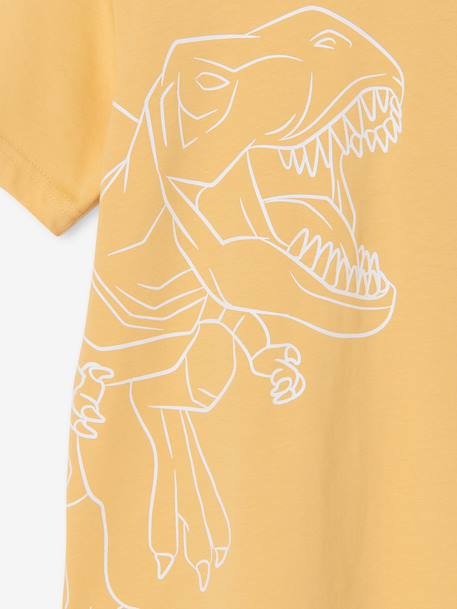 Printed boy's t-shirt aqua green+marl white+medium blue+mint green+ochre+olive+terracotta - vertbaudet enfant 