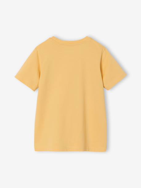 Printed boy's t-shirt aqua green+marl white+medium blue+mint green+ochre+olive+terracotta - vertbaudet enfant 