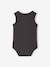Lot de 2 bodies garçon coton biologique anthracite - vertbaudet enfant 