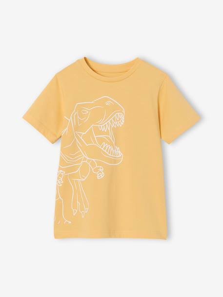 Printed boy's t-shirt aqua green+marl white+medium blue+mint green+ochre+olive+terracotta - vertbaudet enfant 
