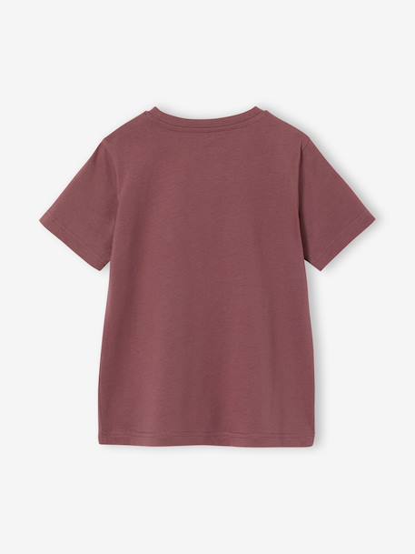 T-shirt garçon imprimé blanc chiné+bleu moyen+menthe+ocre+olive+terracotta+vert d'eau - vertbaudet enfant 